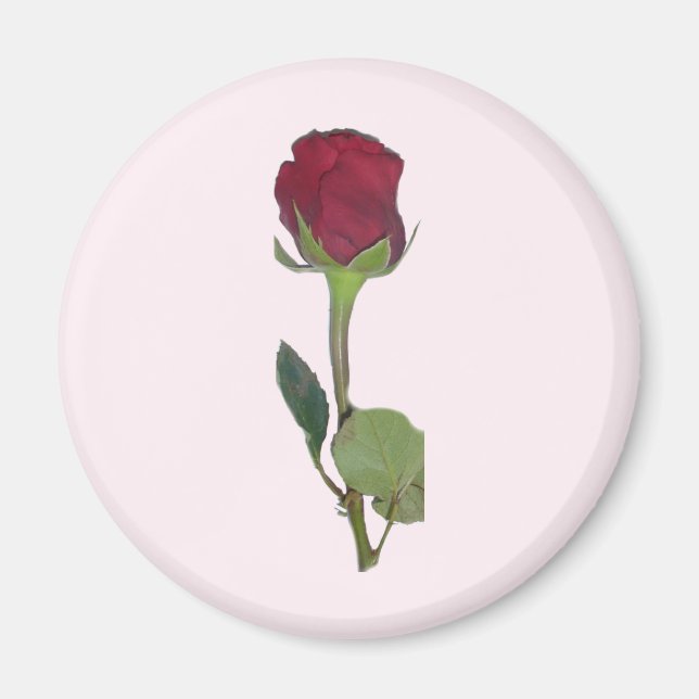 Rote Rose Magnet (Vorne)