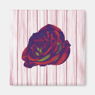 Rote Rose Magnet