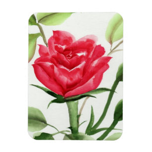 Rote Rose Magnet