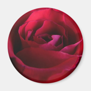 Rote Rose Magnete Rosa Geschenke Keepake Dekoratio
