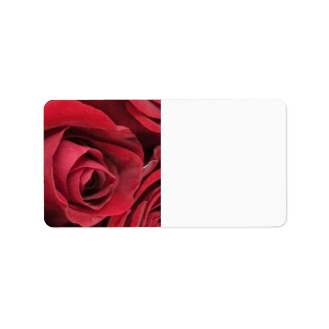 Rote Rose-Mailing-Labels Adressaufkleber (Vorne)