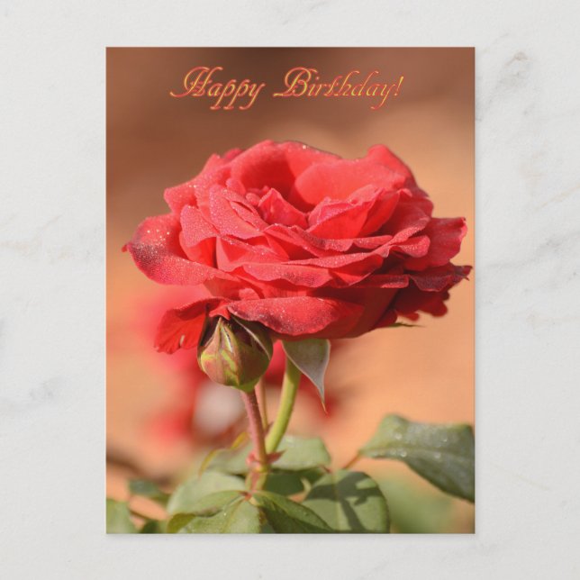 Rote Rose mit Bud Happy Birthday Postkarte (Vorderseite)