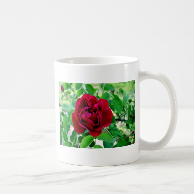 Rote Rose mit Bud Kaffeetasse (Rechts)