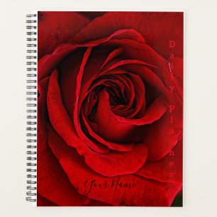Rote Rose mit Fotos - Tagesplaner- HAMbWG Planer