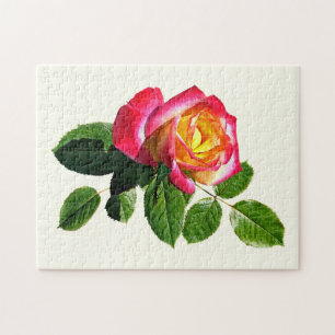 Rote Rose mit goldgelber Mitte Puzzle