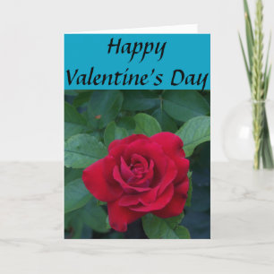 Rote Rose mit grünen Blättern Feiertagskarte