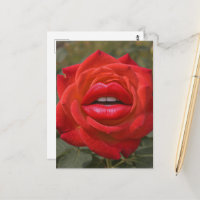 Rote Rose mit Lippen Collage