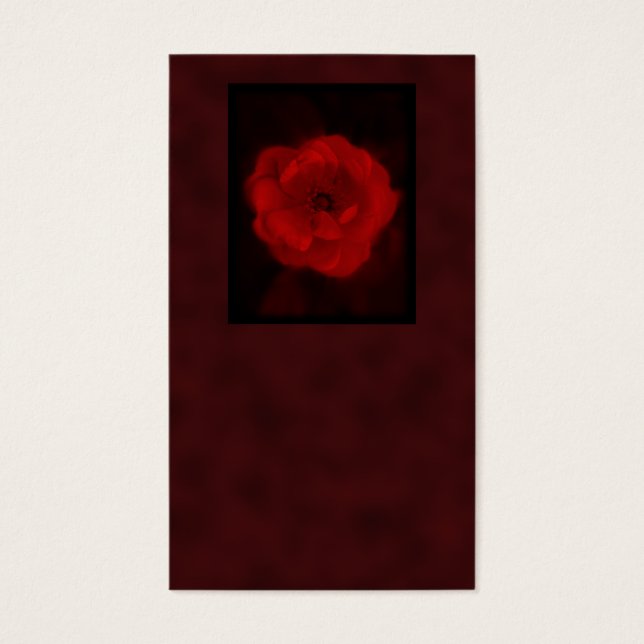 Rote Rose. Mit schwarz und tiefrot. (Vorderseite)