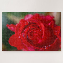 Rote Rose mit Wassertropfen. Puzzle