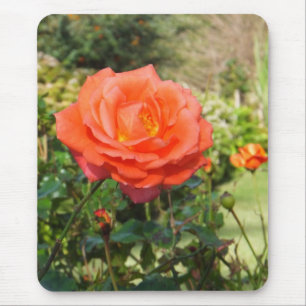 Rote Rose Mousepad