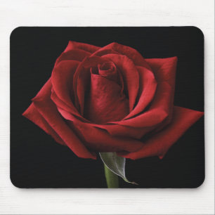 Rote Rose Mousepad