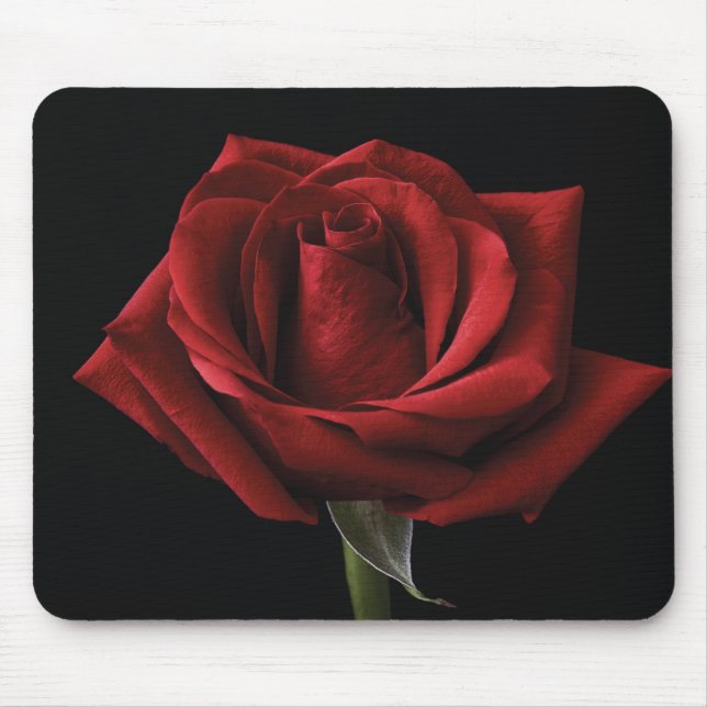 Rote Rose Mousepad (Vorne)