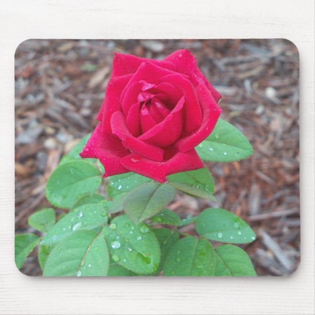 Rote Rose Mousepad (Vorne)