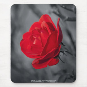 Rote Rose Mousepad