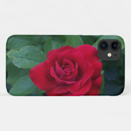 Rote Rose Nah Case-Mate iPhone Hülle