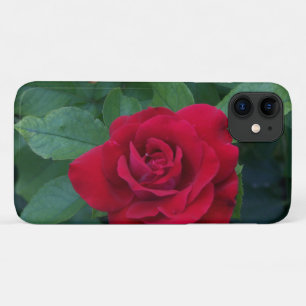Rote Rose Nah Case-Mate iPhone Hülle
