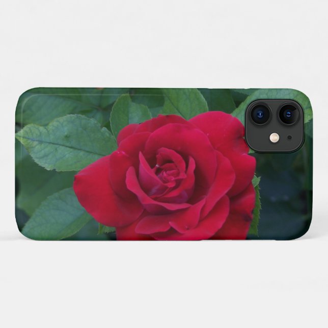 Rote Rose Nah Case-Mate iPhone Hülle (Rückseite (Horizontal))