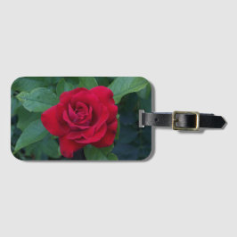 Rote Rose Nah Gepäckanhänger