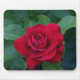 Rote Rose Nah Mousepad