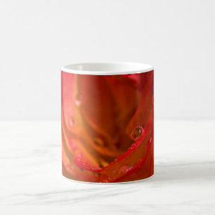 Rote Rose Nah Tasse