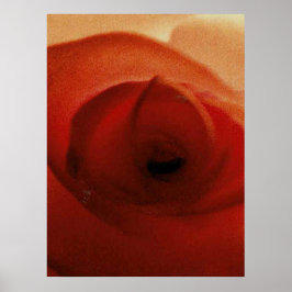 ROTE ROSE NAHAUFNAHME POSTER