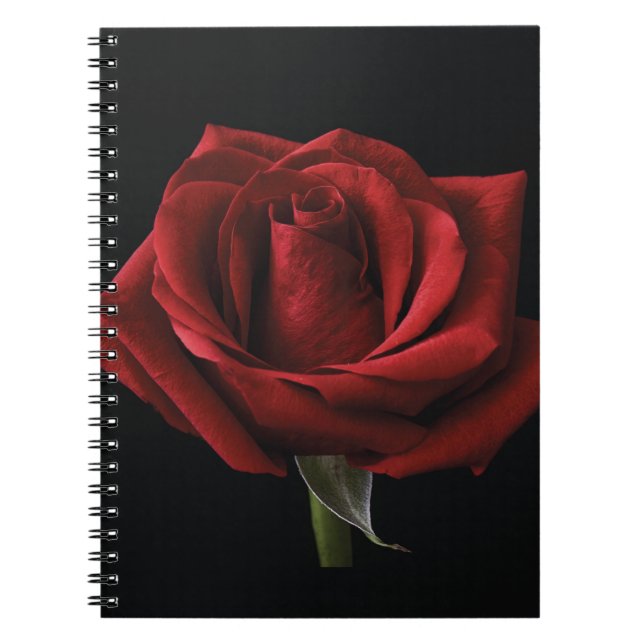 Rote Rose Notizblock (Vorderseite)