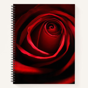 Rote Rose Notizbuch