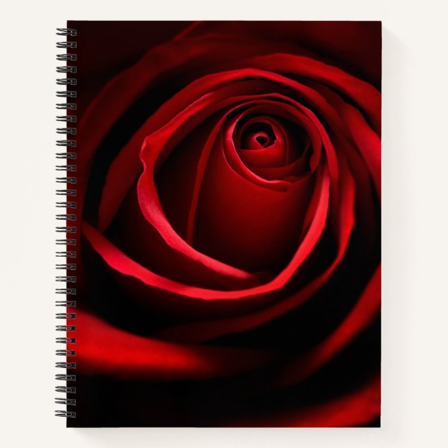 Rote Rose Notizbuch (Vorderseite)