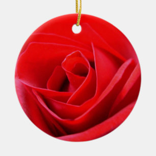 Rote Rose Ornament Romantische Rose