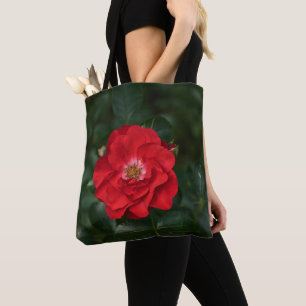 Rote Rose P 6568