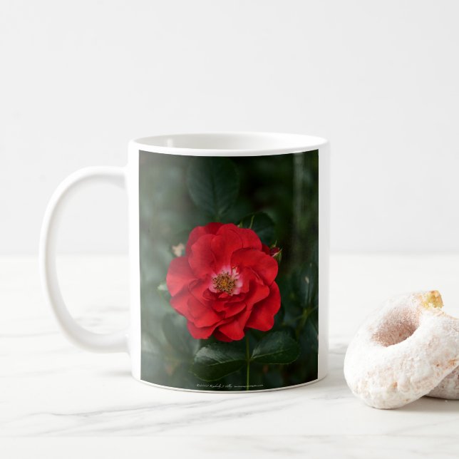 Rote Rose P 6568 Kaffeetasse (Mit Donut)