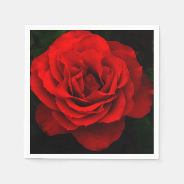 Rote Rose-Papier-Cocktail Napkins Serviette (Vorderseite)