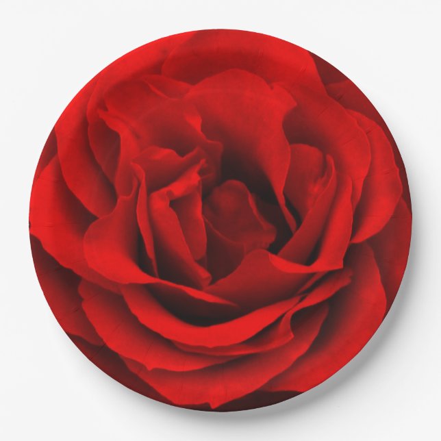 Rote Rose-Papier-Party-Teller Pappteller (Vorderseite)