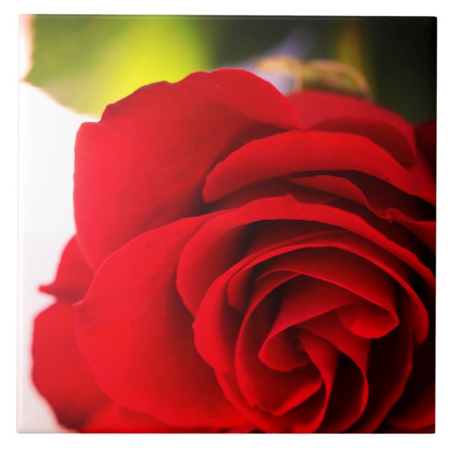 Rote Rose Petals Blume Floral Fliese (Vorderseite)