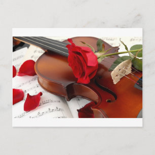 rote Rose Petals Romantische Violinmusik Postkarte