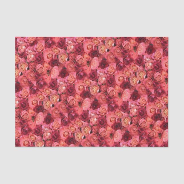 Rote Rose PINK Seidenpapier (Vorderseite)