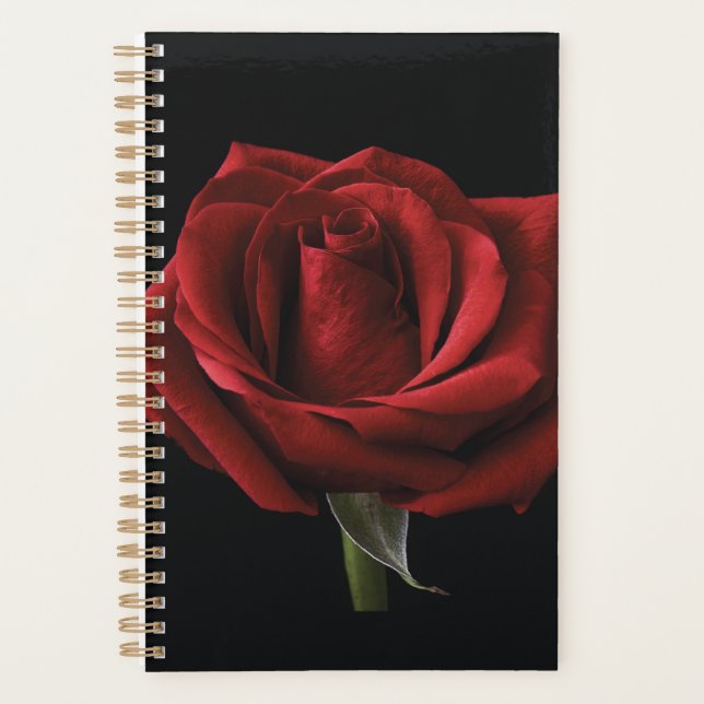 Rote Rose Planer (Vorderseite)