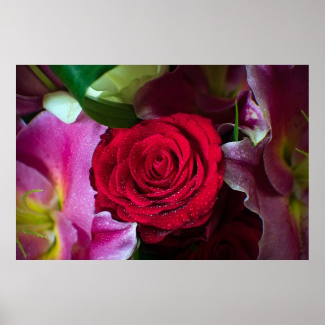 ROTE ROSE POSTER (Vorne)