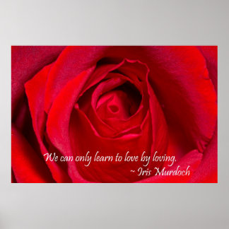 Rote Rose Poster