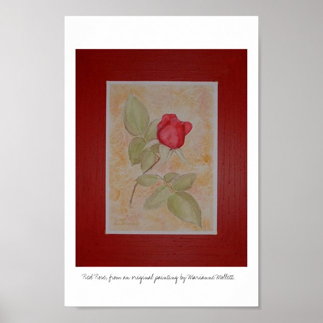 Rote Rose Poster (Vorne)