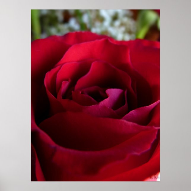 Rote Rose Poster Print Beautiful Blume Printing (Vorne)