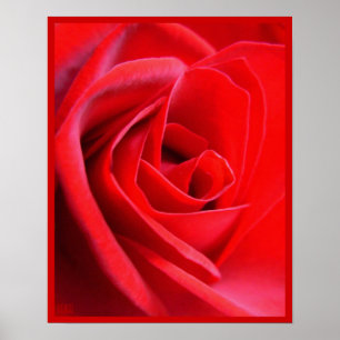 Rote Rose Poster Print Beautiful Blume Printing