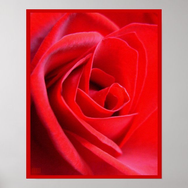 Rote Rose Poster Print Beautiful Blume Printing (Vorne)