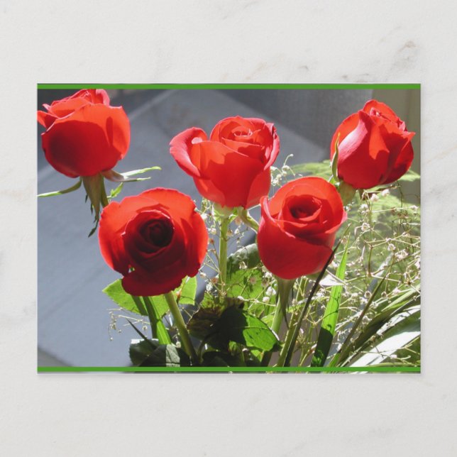Rote Rose Postkarte (Vorderseite)