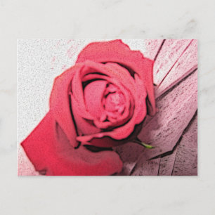 Rote Rose Postkarte