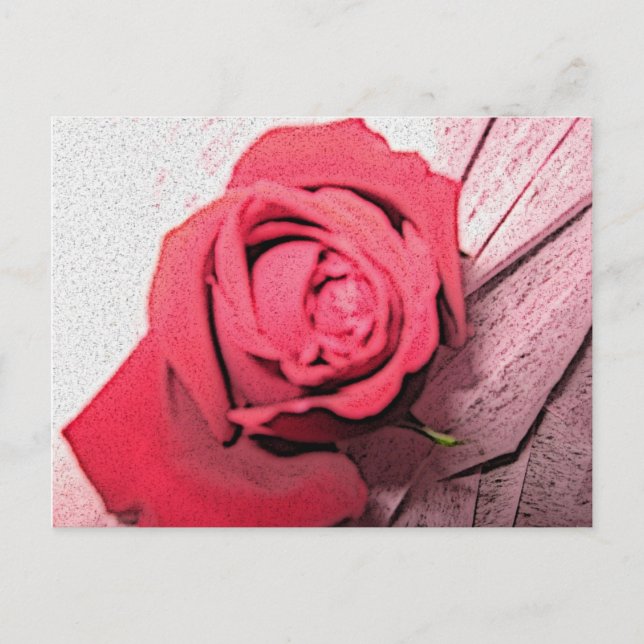 Rote Rose Postkarte (Vorderseite)