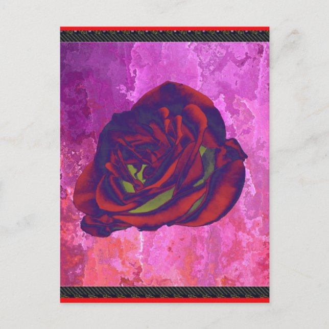 Rote Rose Postkarte (Vorderseite)