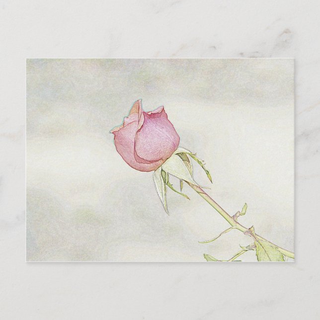 Rote Rose Postkarte (Vorderseite)