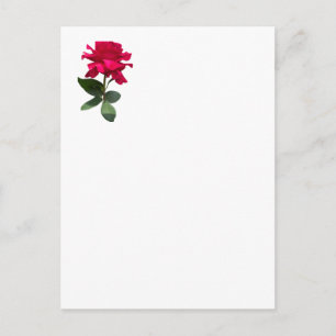 Rote Rose Postkarte