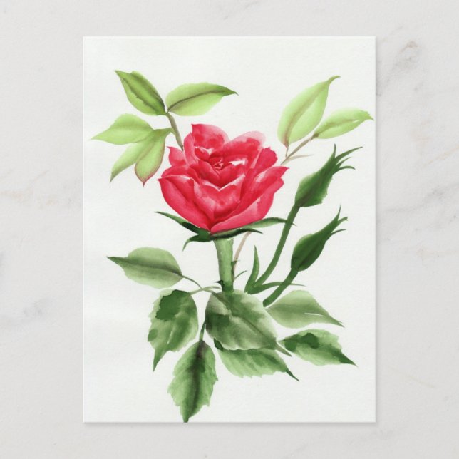 Rote Rose Postkarte (Vorderseite)